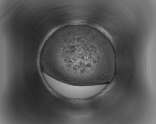 X0000093211429200710101318