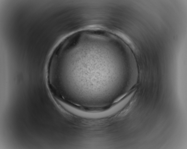 X0000093211430200710101318