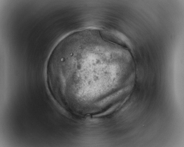 X0000093211431200710101318