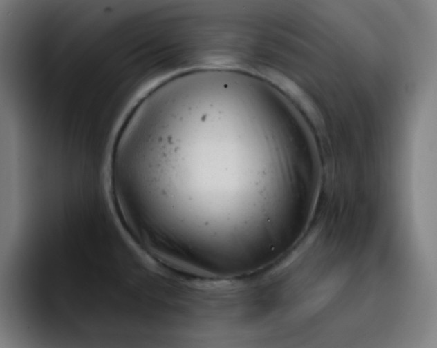 X0000093211432200710101318