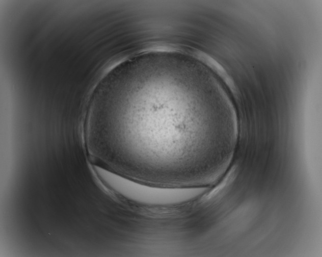 X0000093211433200710101318