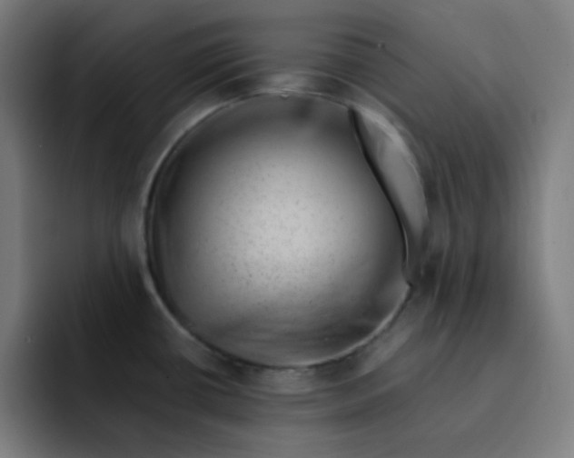 X0000093211434200710101318