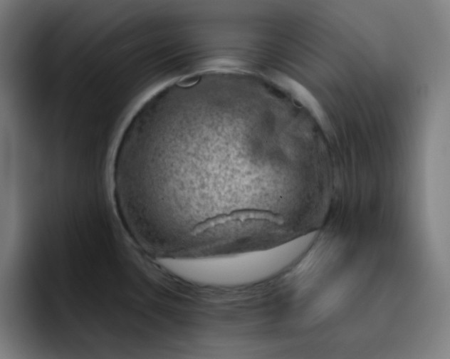 X0000093211435200710101318