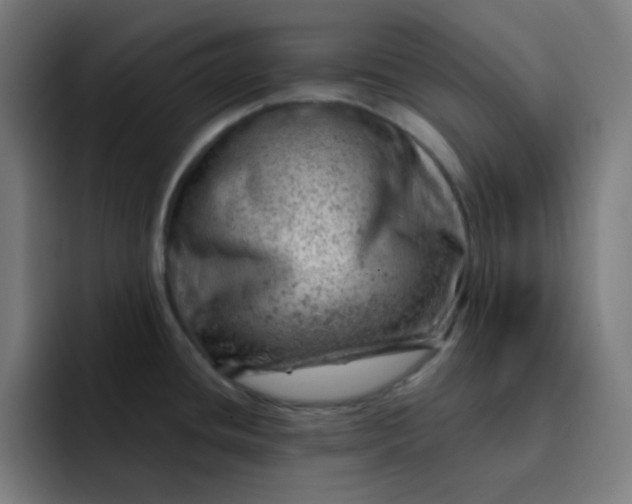 X0000093211436200710101318