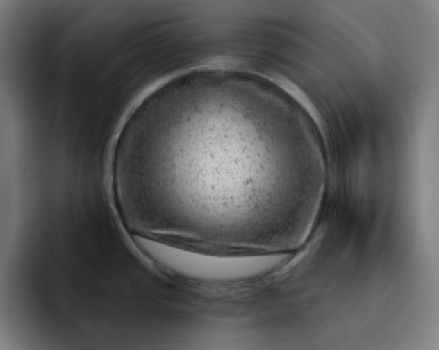 X0000093211437200710101318