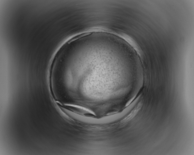 X0000093211438200710101318