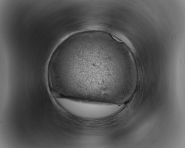 X0000093211439200710101318