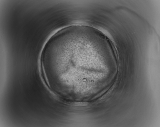 X0000093211440200710101318