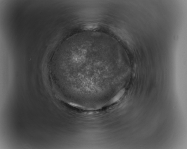 X0000093211441200710101318