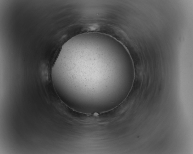 X0000093211442200710101318