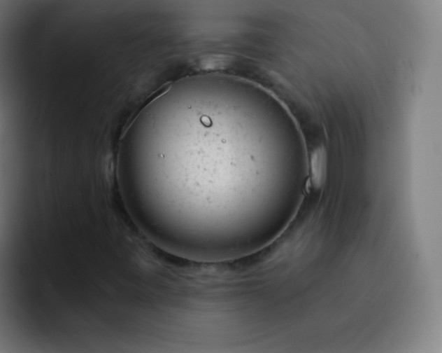 X0000093211443200710101318