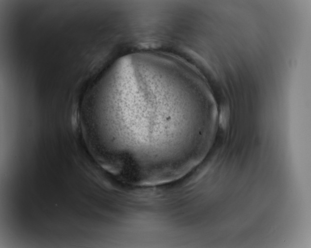 X0000093211444200710101318