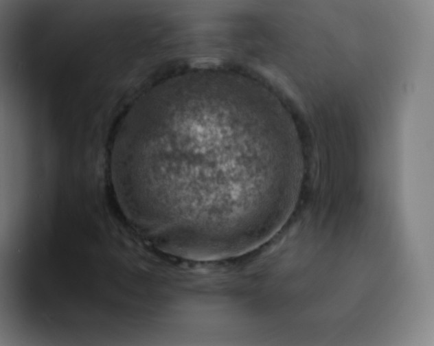 X0000093211445200710101318