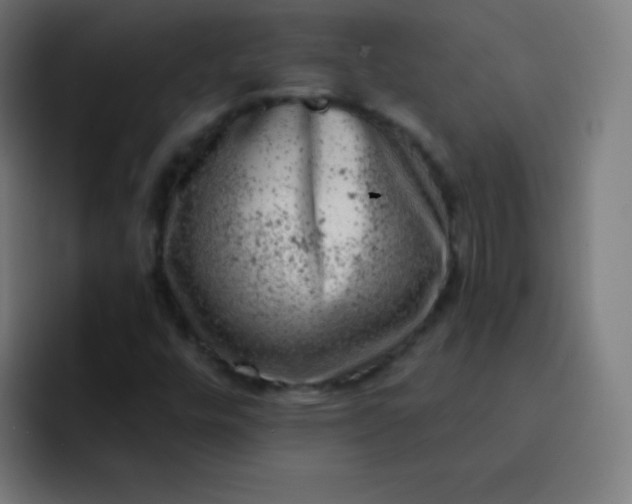 X0000093211448200710101318