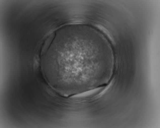 X0000093211449200710101318