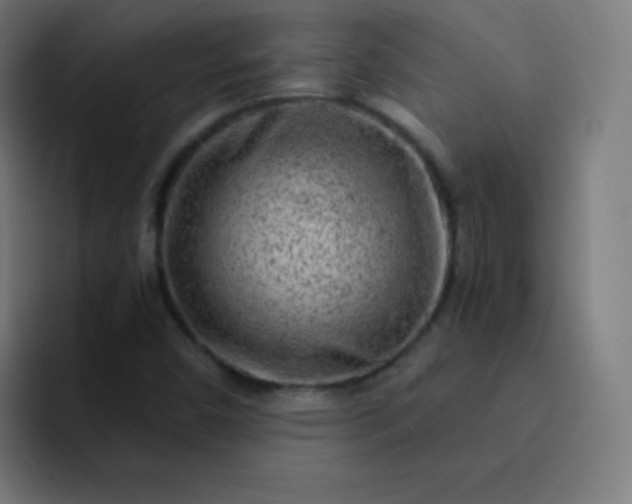 X0000093211450200710101318