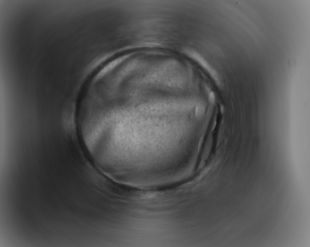 X0000093211452200710101317