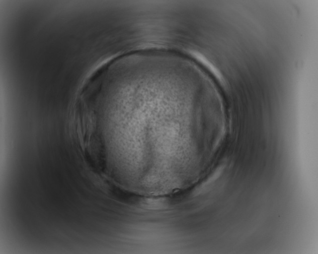 X0000093211453200710101317