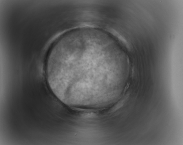 X0000093211454200710101317