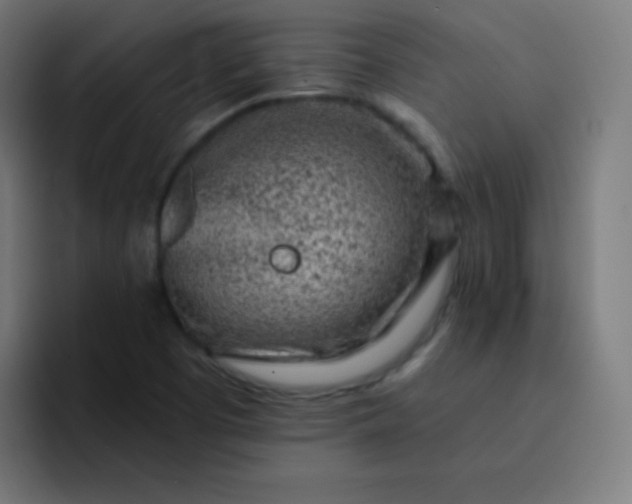 X0000093211457200710101317