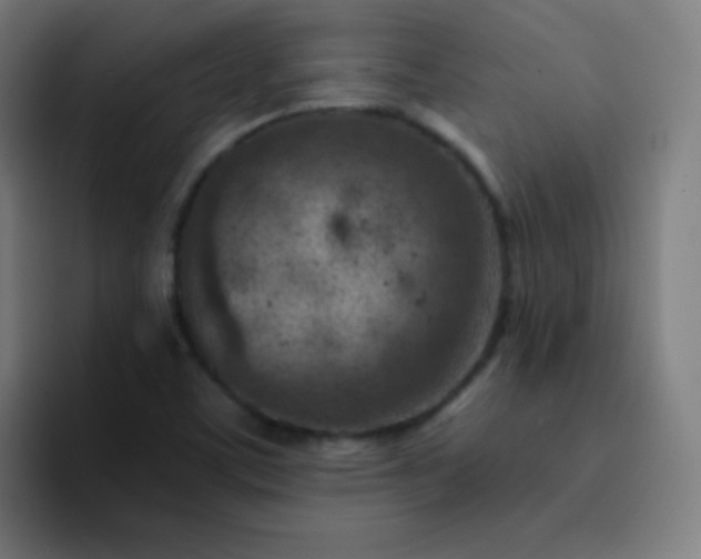 X0000093211459200710101317