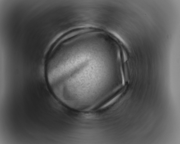 X0000093211460200710101317