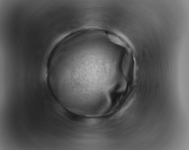 X0000093211461200710101317