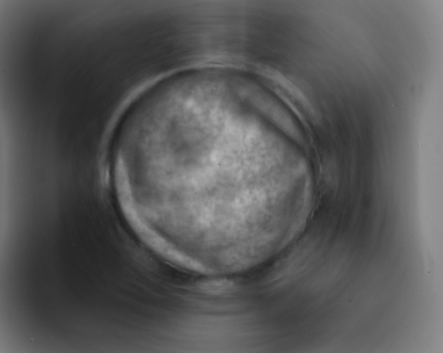 X0000093211462200710101317