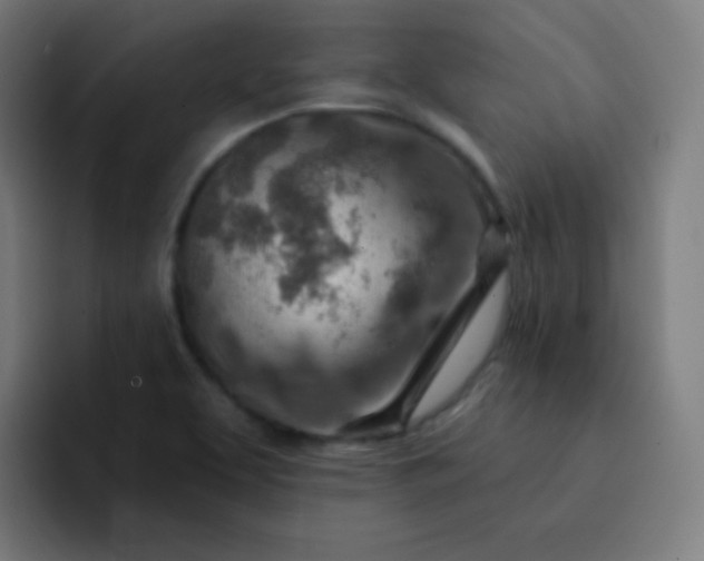 X0000093211463200710101317