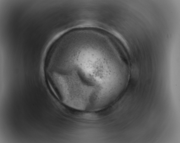 X0000093211464200710101317