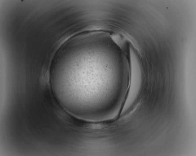 X0000093211465200710101317