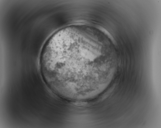 X0000093211466200710101317