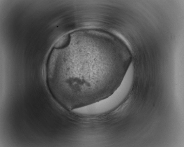 X0000093211467200710101317