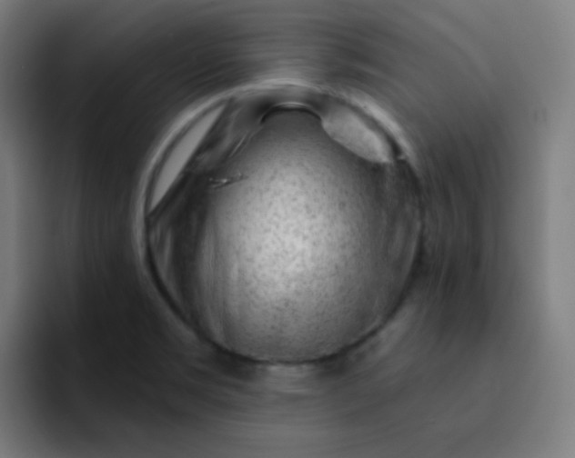 X0000093211469200710101317