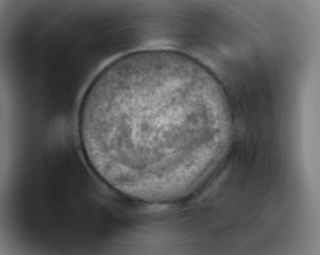 X0000093211470200710101317