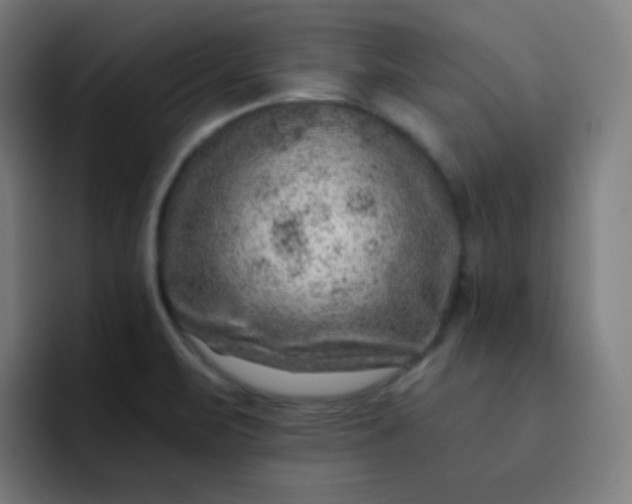 X0000093211471200710101317