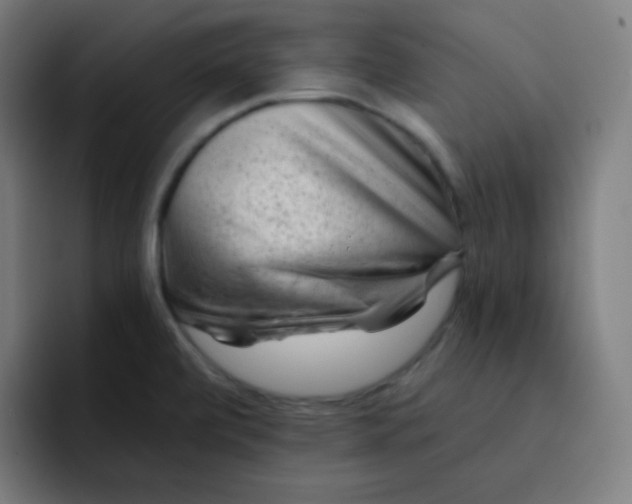 X0000093211472200710101317