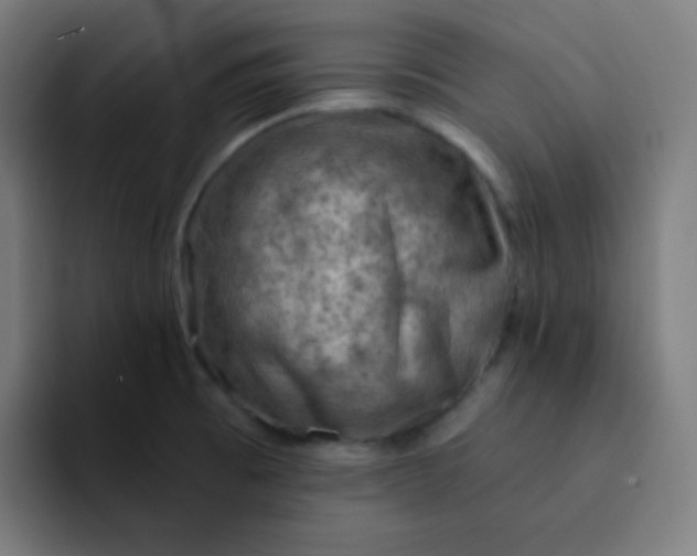 X0000093211473200710101317