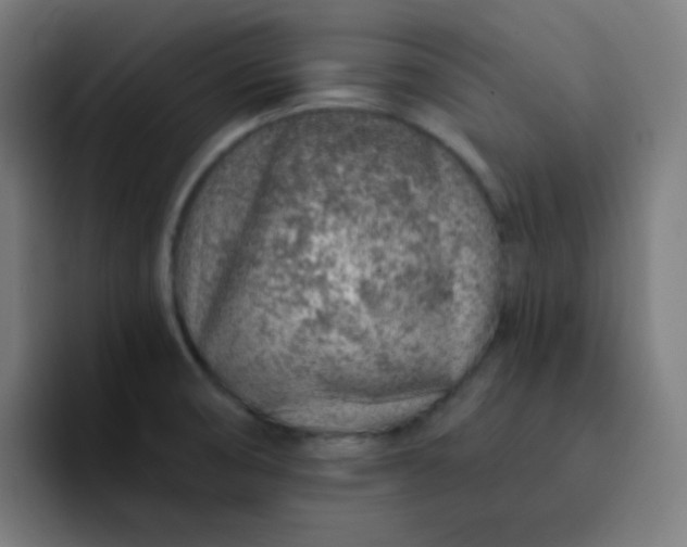 X0000093211474200710101317