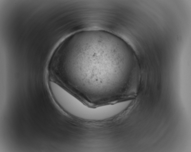 X0000093211476200710101317