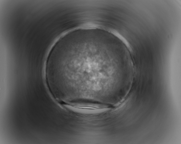 X0000093211477200710101317