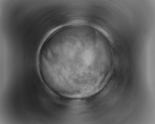 X0000093211478200710101317