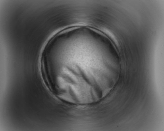 X0000093211480200710101317