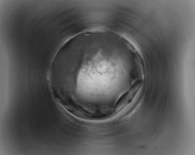 X0000093211481200710101317