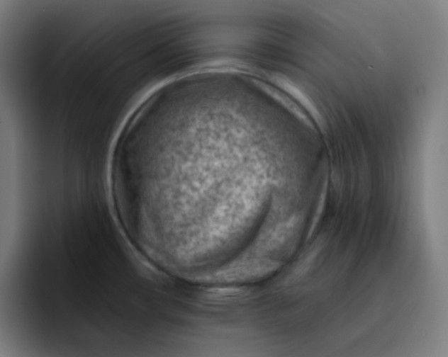 X0000093211482200710101317