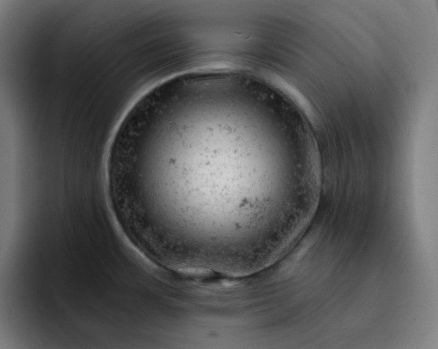 X0000093211483200710101317