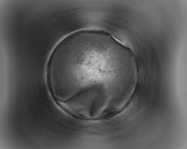 X0000093211484200710101317