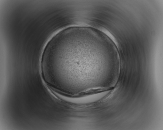 X0000093211485200710101317