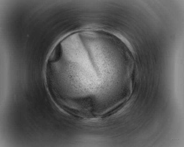 X0000093211486200710101317