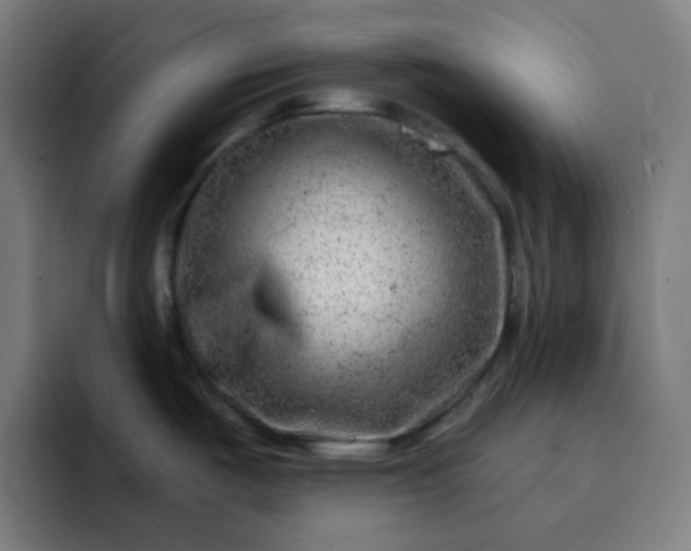 X0000093211487200710101317